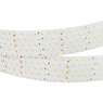 Лента светодиодная RT 2-2500 24V Day4000 5x2 (2835, 875 LED, CRI98) (Arlight, 36 Вт/м, IP20)