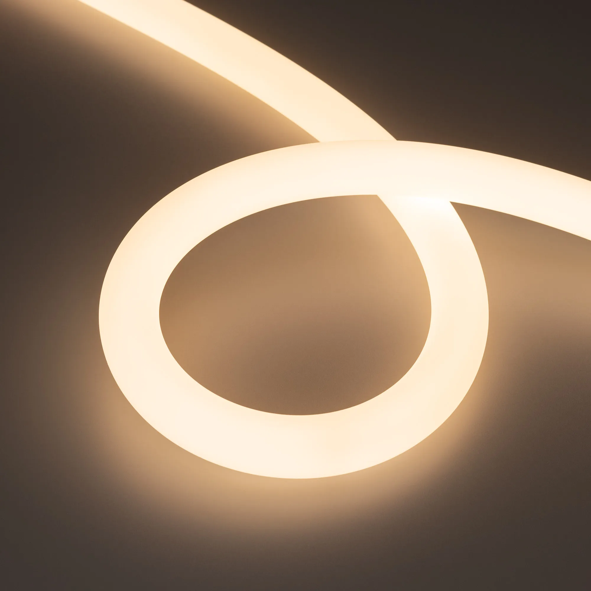 Лента светодиодная герметичная MOONLIGHT-TOP-FP-X1088-D25mm 24V Warm3000 (20 W/m, IP65, 5m, wire x1) (Arlight, Вывод прямой, 3 года) - изображение товара